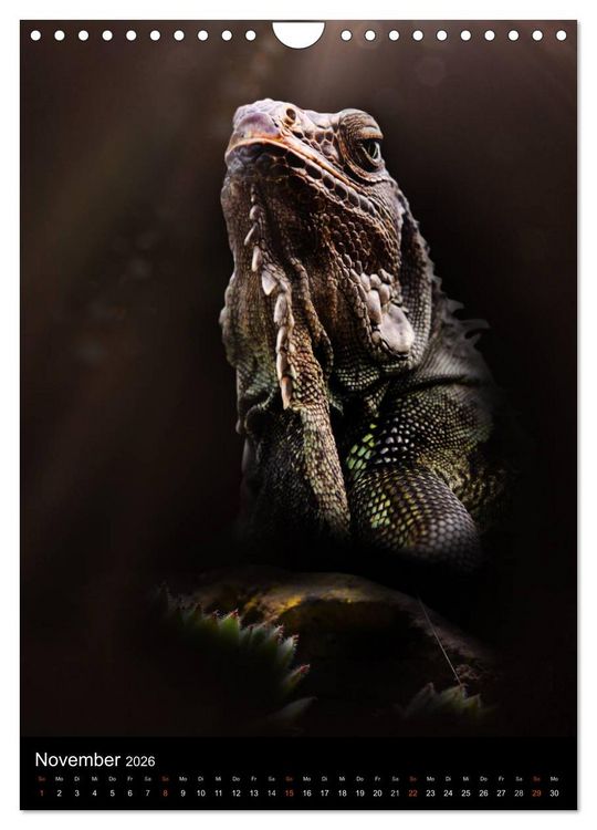 Produktbild: Auge in Auge mit coolen Typen - REPTILIEN (Wandkalender 2026 DIN A4 hoch), CALVENDO Monatskalender