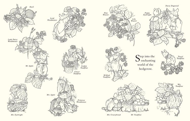 Produktbild: BRAMBLY HEDGE_BRAMBLY HEDGE PB