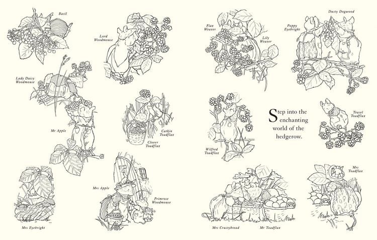 Produktbild: Brambly Hedge: Festive Colouring Book