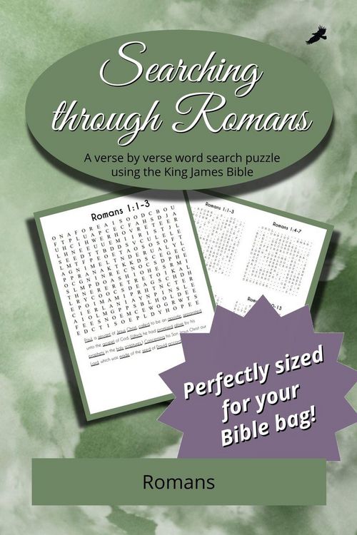 Produktbild: Searching Through Romans