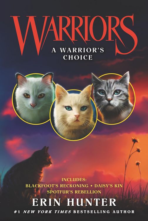 Produktbild: Warriors: A Warrior's Choice