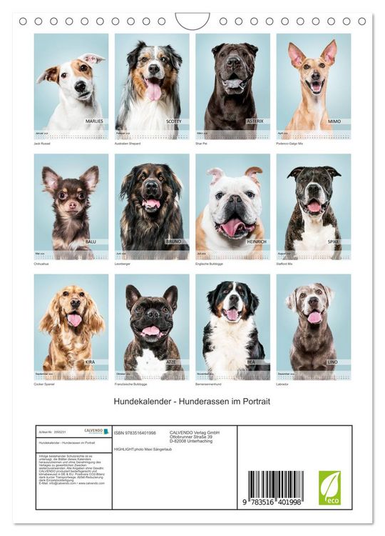 Produktbild: Hundekalender - Hunderassen im Portrait (Wandkalender 2026 DIN A4 hoch), CALVENDO Monatskalender