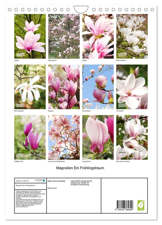 Produktbild: Magnolien Ein Fr&uuml;hlingstraum (Wandkalender 2026 DIN A4 hoch), CALVENDO Monatskalender