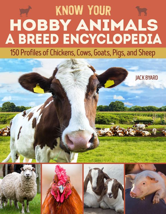 Produktbild: Know Your Hobby Animals a Breed Encyclopedia