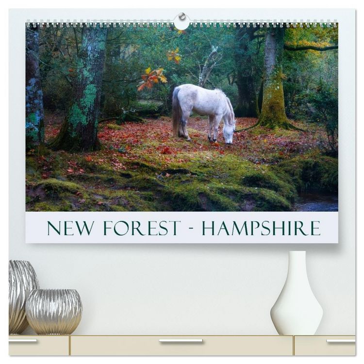 Produktbild: New Forest Hampshire (High Quality Premium Wall Calendar 2026 DIN A2 landscape),CALVENDO 12 Month Wall Calendar