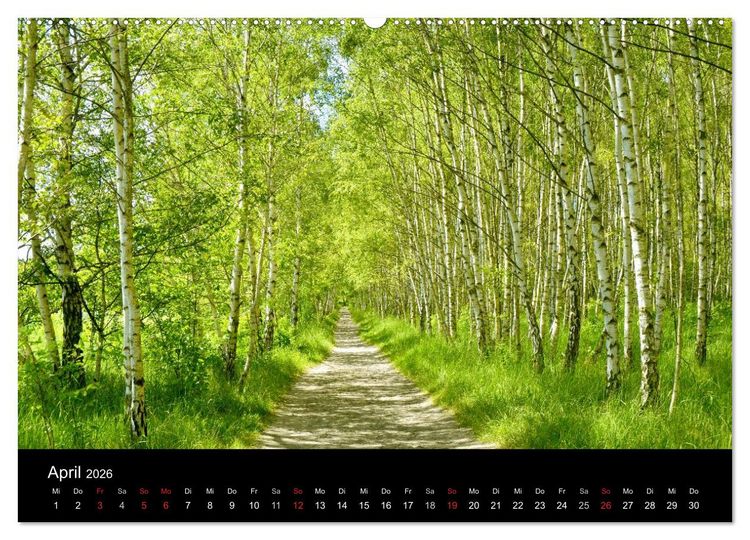 Produktbild: Die vier Jahreszeiten (hochwertiger Premium Wandkalender 2026 DIN A2 quer), Kunstdruck in Hochglanz