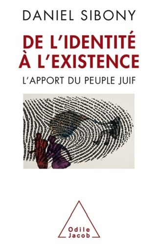 Produktbild: De l'identit&eacute; &agrave; l'existence : l'apport du peuple juif