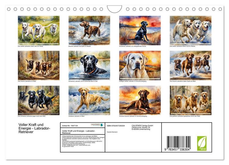 Produktbild: Voller Kraft und Energie - Labrador-Retriever (Wandkalender 2026 DIN A4 quer), CALVENDO Monatskalender