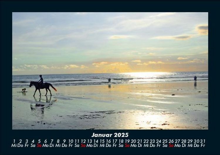 Produktbild: Pferde Kalender 2025 Fotokalender DIN A5
