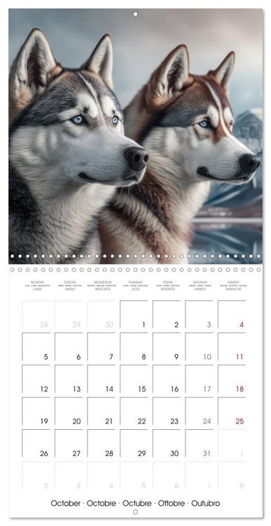Produktbild: Des huskies adorables (Calendrier mural carr&eacute; 2026 30x30 cm) Calendrier double avec une page pour vos prises de notes