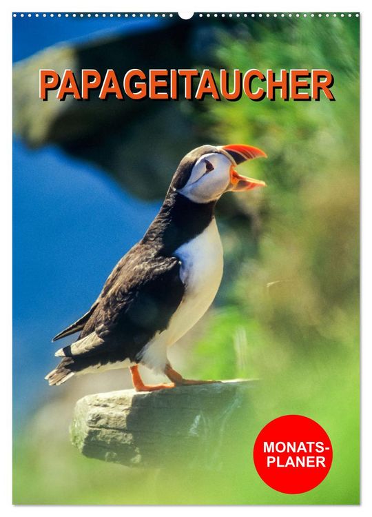 Produktbild: Papageitaucher Monatsplaner (Wandkalender 2026 DIN A2 hoch), CALVENDO Monatskalender