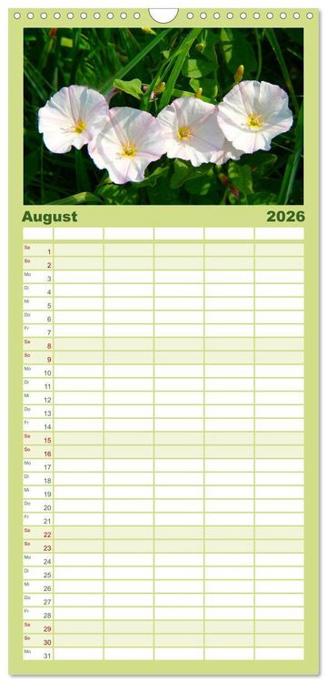 Produktbild: Familienplaner 2026 - Wildblumen 2026 mit 5 Spalten (Wandkalender, 21 x 45 cm) CALVENDO