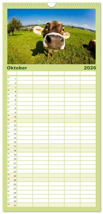 Produktbild: Familienplaner 2026 - K&uuml;he mit 5 Spalten (Wandkalender, 21 x 45 cm) CALVENDO