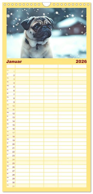 Produktbild: Familienplaner 2026 - Kleine Helden - eine Hommage an die Mopsrasse mit 5 Spalten (Wandkalender, 21 x 45 cm) CALVENDO