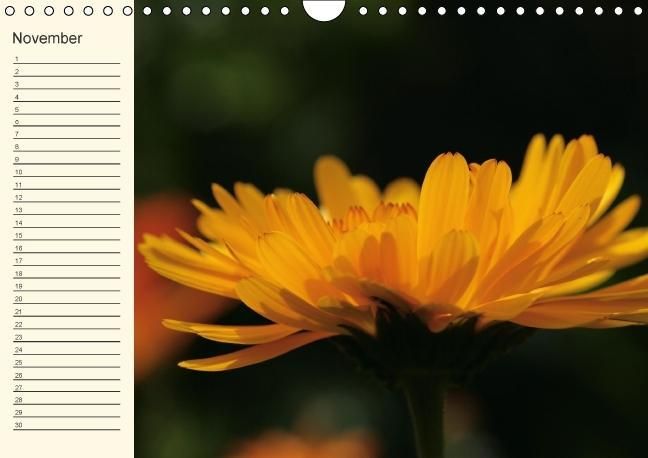 Produktbild: Geburtstagskalender "Nette Kleinigkeiten" (Wandkalender immerw&auml;hrend DIN A4 quer)