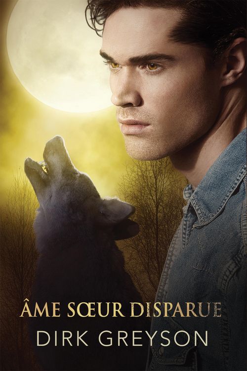 Produktbild: &Acirc;me soeur disparue