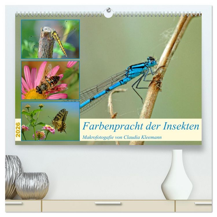 Produktbild: Farbenpracht der Insekten (hochwertiger Premium Wandkalender 2026 DIN A2 quer), Kunstdruck in Hochglanz