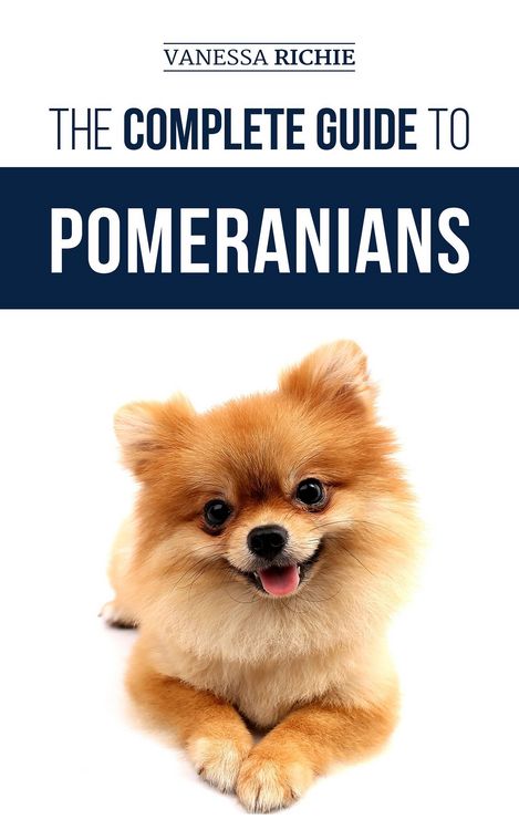 Produktbild: The Complete Guide to Pomeranians