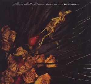 Produktbild: Song Of The Blackbird