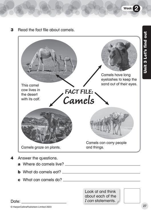 Produktbild: Collins International Primary English