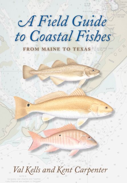 Produktbild: A Field Guide to Coastal Fishes