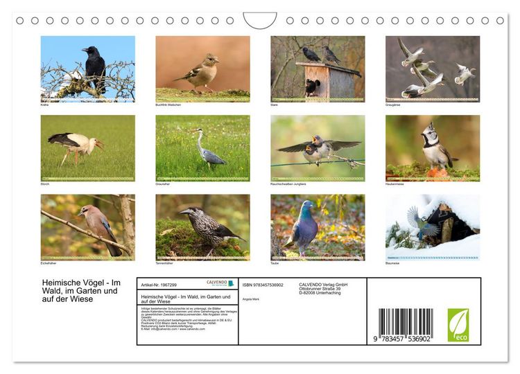 Produktbild: Heimische V&ouml;gel - Im Wald, im Garten und auf der Wiese (Wandkalender 2026 DIN A4 quer), CALVENDO Monatskalender