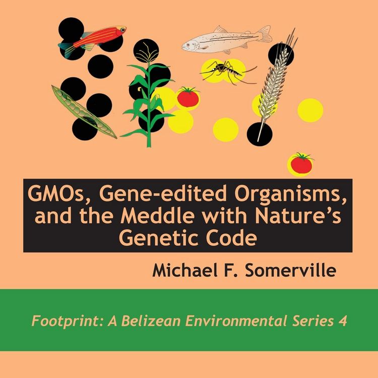 Produktbild: GMOs, Gene-edited Organisms, and the Meddle with Nature's Genetic Code
