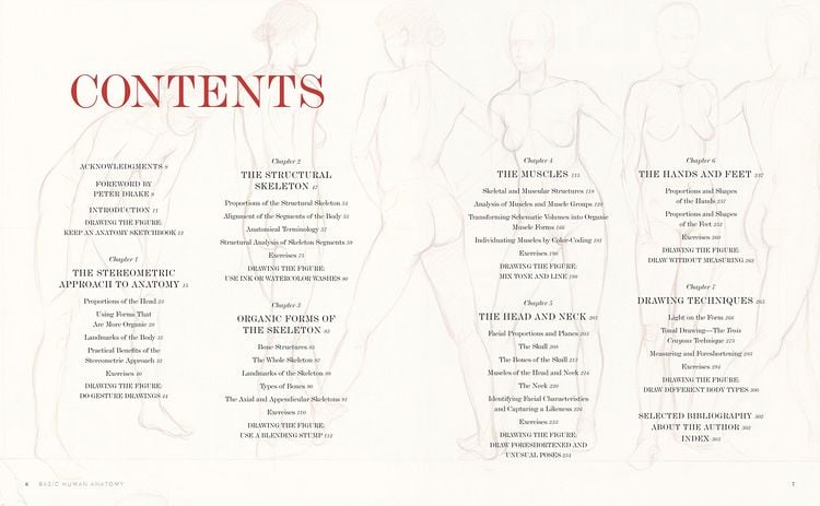 Produktbild: Basic Human Anatomy