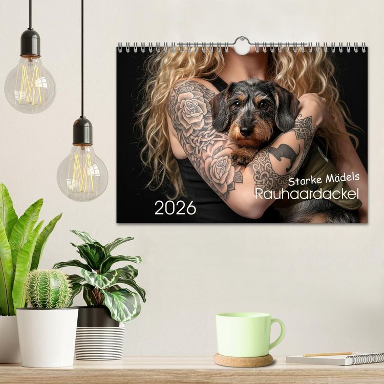 Produktbild: Starke M&auml;dels - Rauhaardackel (Wandkalender 2026 DIN A4 quer), CALVENDO Monatskalender