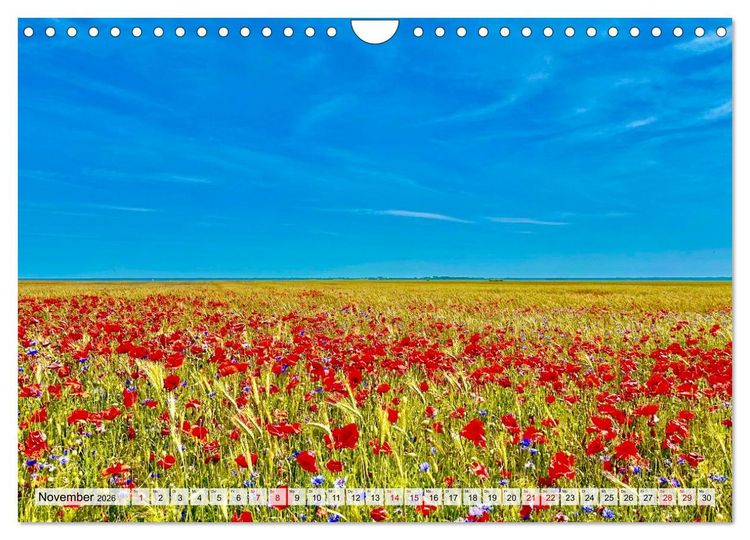 Produktbild: Fischland: zwischen Ostsee und Bodden (Wandkalender 2026 DIN A4 quer), CALVENDO Monatskalender