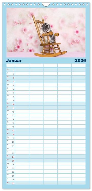 Produktbild: Familienplaner 2026 - Niedliche Meerschweinchen mit 5 Spalten (Wandkalender, 21 x 45 cm) CALVENDO