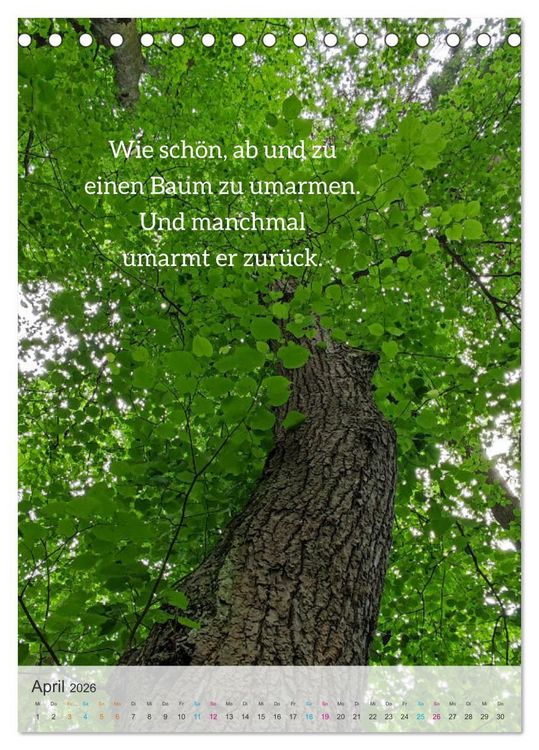 Produktbild: Manchmal - Poetische Momentaufnahmen (Tischkalender 2026 DIN A5 hoch), CALVENDO Monatskalender