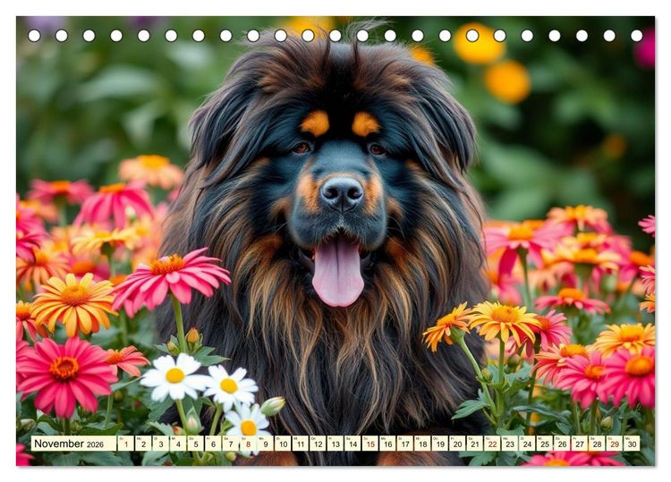 Produktbild: Giganten der Hundwelt (Tischkalender 2026 DIN A5 quer), CALVENDO Monatskalender