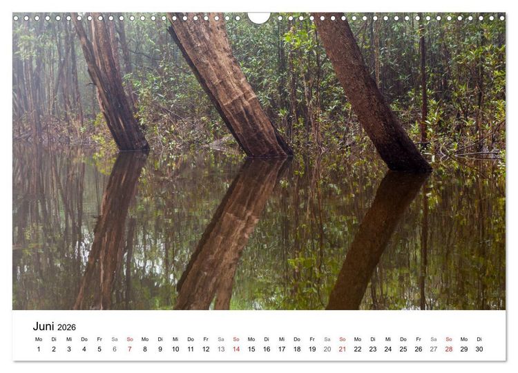 Produktbild: Mythos Amazonas - Naturparadies Brasiliens (Wandkalender 2026 DIN A3 quer), CALVENDO Monatskalender