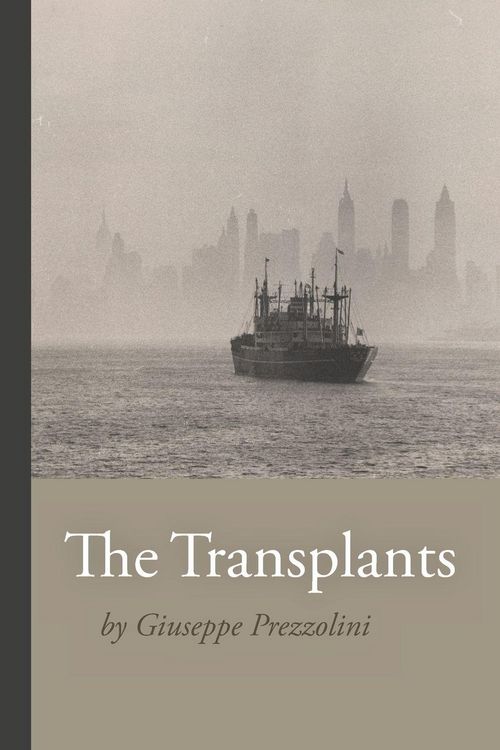 Produktbild: The Transplants