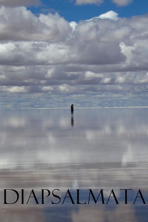 Produktbild: Diapsalmata (Selected Ambient Works, #1)