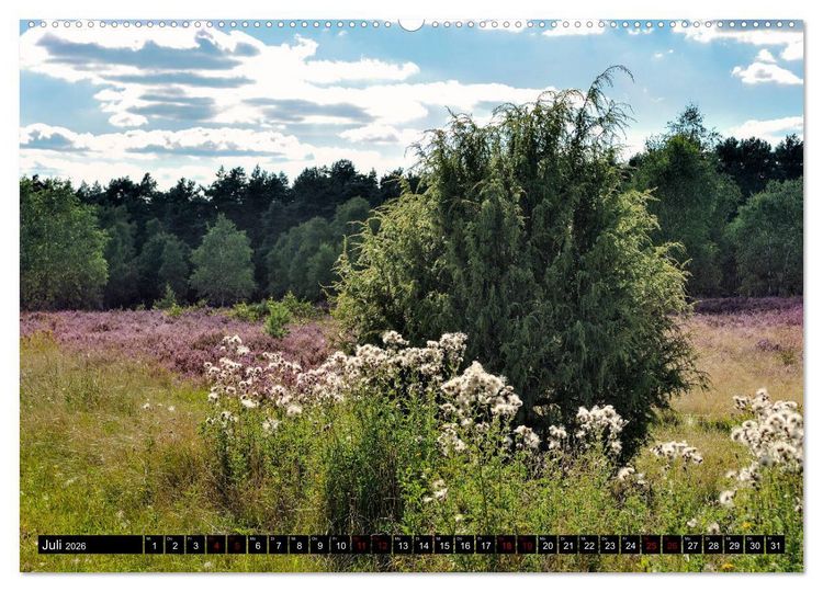 Produktbild: L&uuml;neburger Heide (hochwertiger Premium Wandkalender 2026 DIN A2 quer), Kunstdruck in Hochglanz