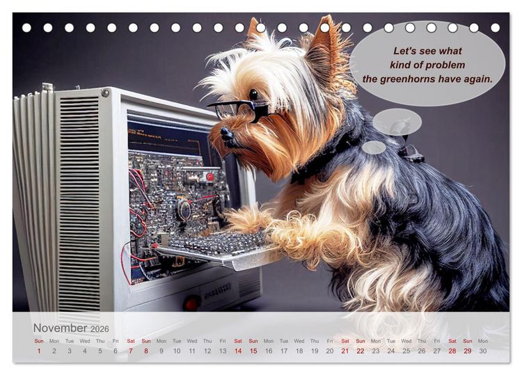 Produktbild: You really think you are an IT expert (Desk Calendar 2026 DIN A5 landscape), CALVENDO 12 Month DeskCalendar