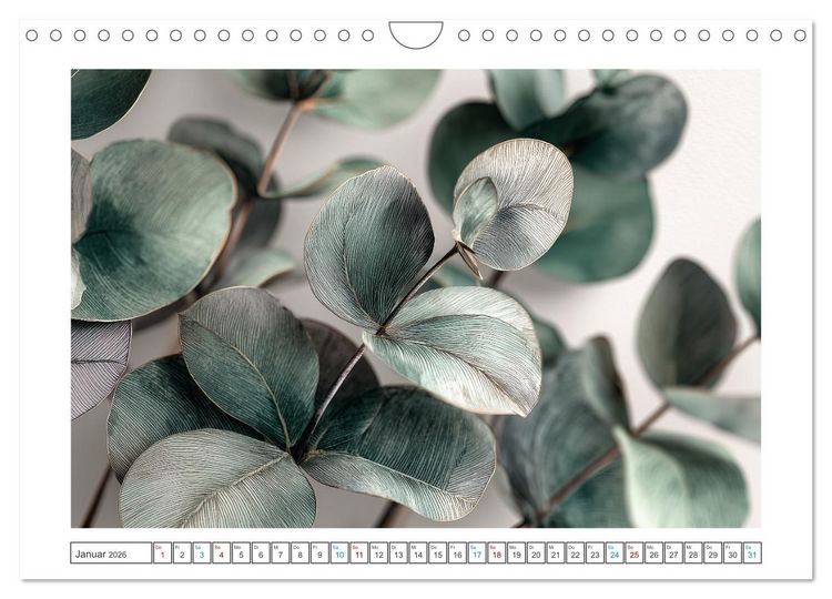 Produktbild: Florale Meisterwerke (Wandkalender 2026 DIN A4 quer), CALVENDO Monatskalender
