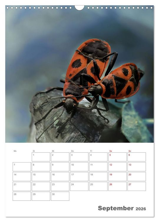Produktbild: Helden in der Natur (Wandkalender 2026 DIN A3 hoch), CALVENDO Monatskalender