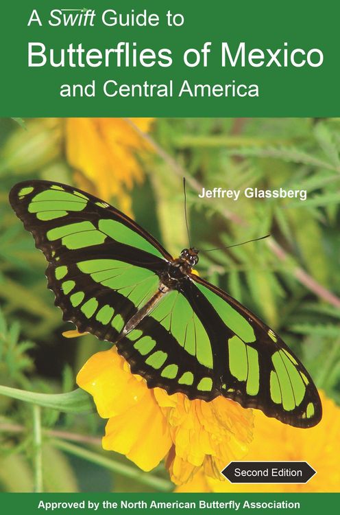 Produktbild: A Swift Guide to Butterflies of Mexico and Central America