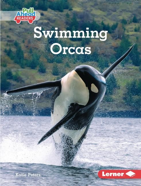 Produktbild: Swimming Orcas