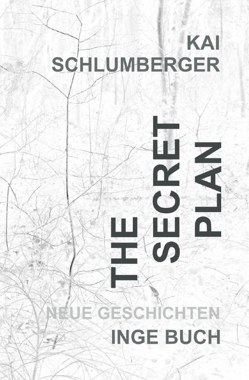Produktbild: The secret plan oder der Weg ins Licht