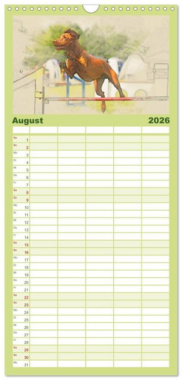 Produktbild: Familienplaner 2026 - Magyar Vizsla 2026 mit 5 Spalten (Wandkalender, 21 x 45 cm) CALVENDO