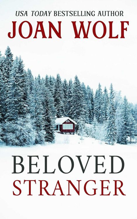 Produktbild: Beloved Stranger