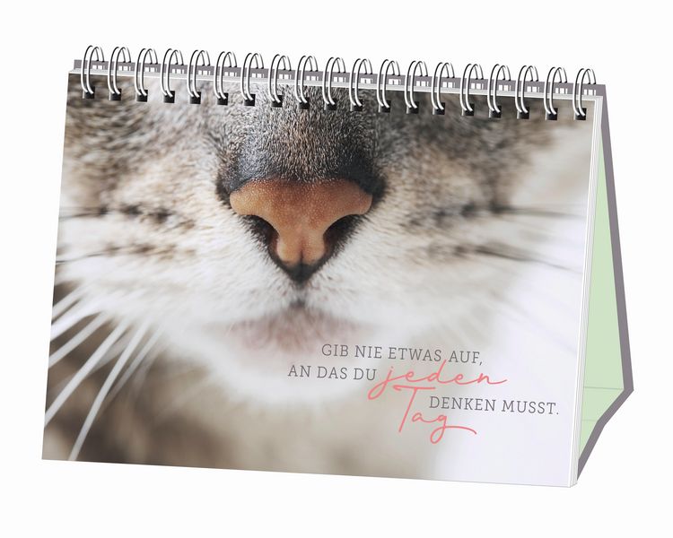 Produktbild: Kleine Tiger, gro&szlig;es Gl&uuml;ck!