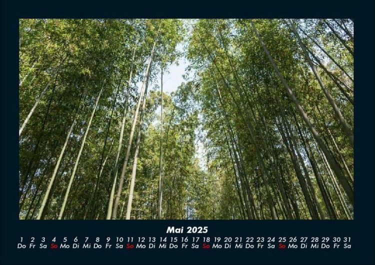 Produktbild: B&auml;ume 2025 Fotokalender DIN A4