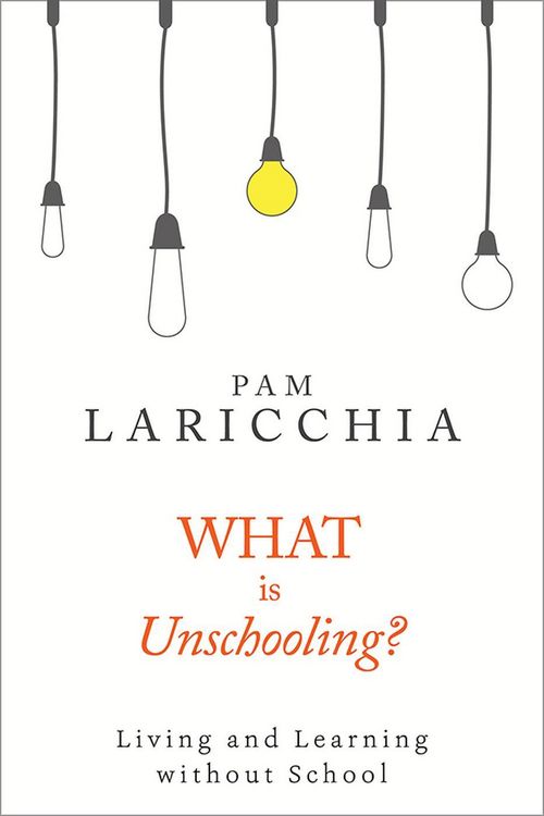 Produktbild: What is Unschooling?