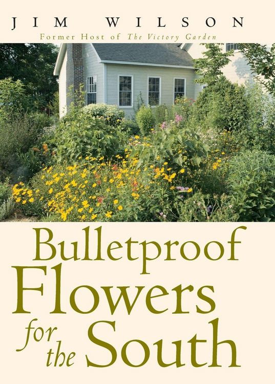 Produktbild: Bulletproof Flowers for the South