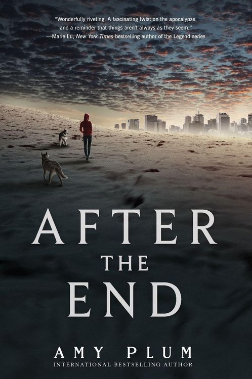 Produktbild: After the End